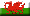 ./gv/brim-2_0_0-16_Apr_2007/brim/framework/view/pics/flags/flag-cy.png