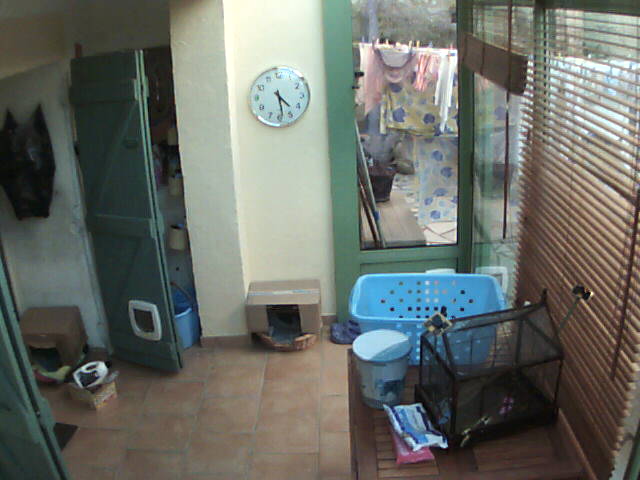 ./salon/espinette/sauvegarde/28_01_2014/espinette_00h3355.jpg