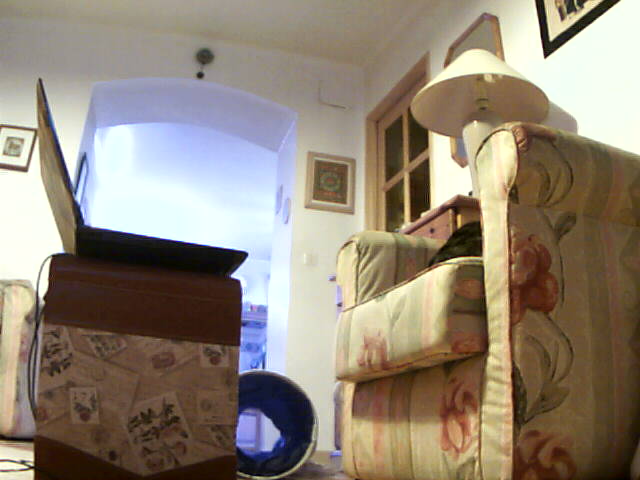 ./salon/espinette/sauvegarde/31_12_2010/espinette_01h0051.jpg