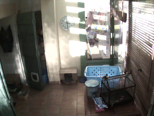 ./salon/espinette/webcam/0022BA686FF2(foscam_bouge)_0_20111224152456_2.jpg